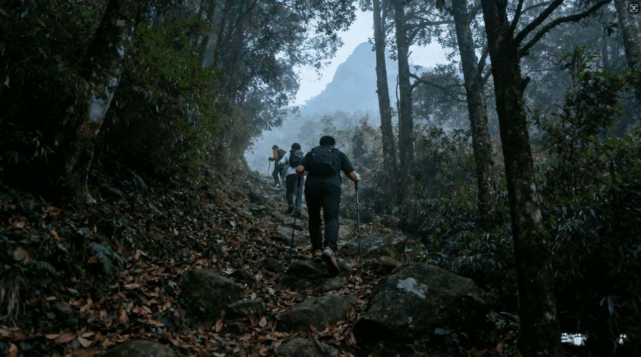 取消暴喵加速器订阅的实用方法